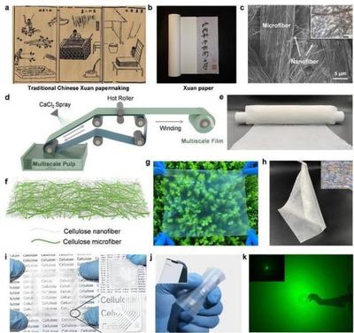 中國(guó)科學(xué)技術(shù)大學(xué)引領(lǐng)創(chuàng)新 新型柔性顯示膜材料問(wèn)世，開(kāi)啟顯示技術(shù)新篇章